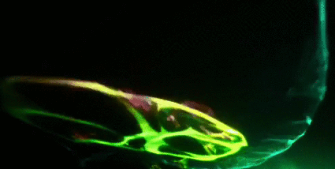 摆脱作品集烂大街项目,